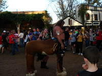 TexRenFest09 (12)