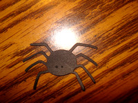 spider