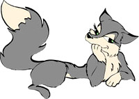 Grey Fox Products Portfolio