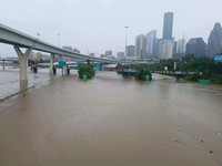 HARVEY 2017 (2)